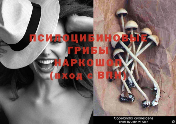 spice Баксан