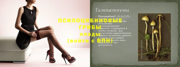 гашик Балахна