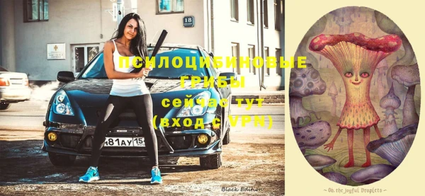 гашик Балахна
