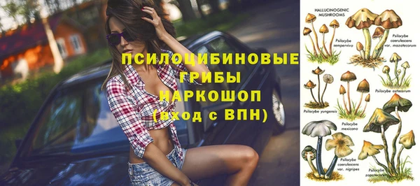 гашик Балахна