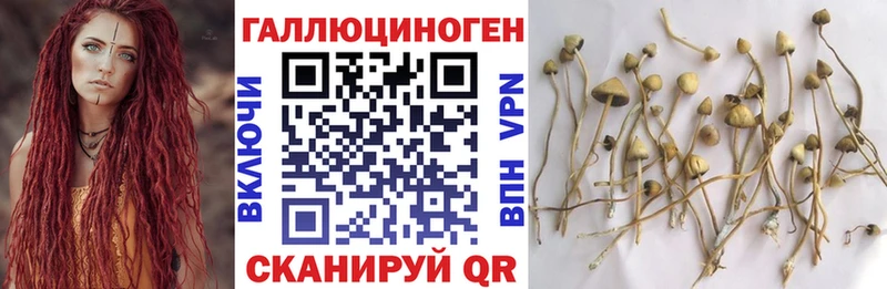 Галлюциногенные грибы MAGIC MUSHROOMS  наркота  Старый Крым 