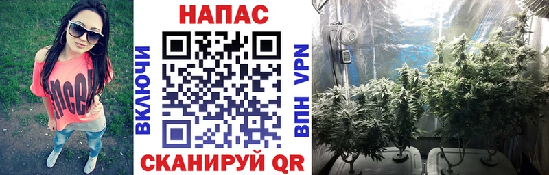 МЕГА ССЫЛКА  Старый Крым  Бошки марихуана Bruce Banner 